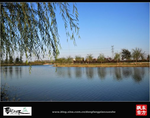 焦作大沙河帶狀濕地項目